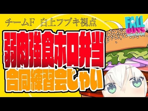 【#YTGW】  Fall Guys大会練習/チーム「弱肉強食ホロ弁当」【ホロライブ/白上フブキ/百鬼あやめ/兎田ぺこら/大神ミオ】