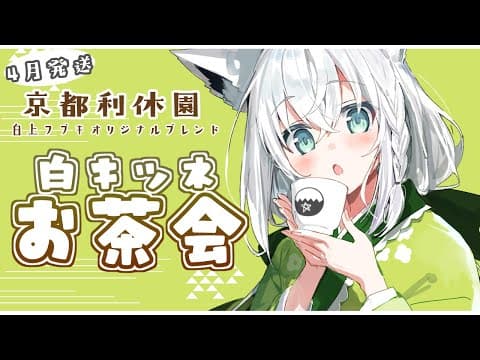 【４月お茶会】京都利休園コラボ「 #白きつね 」のお茶会【ホロライブ/白上フブキ】