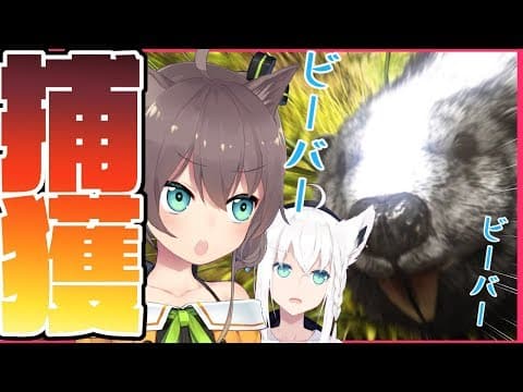 【Ark: Survival Evolved】夏色吹雪のビーバー捕獲作戦!!!!!!【#とまらないARK】