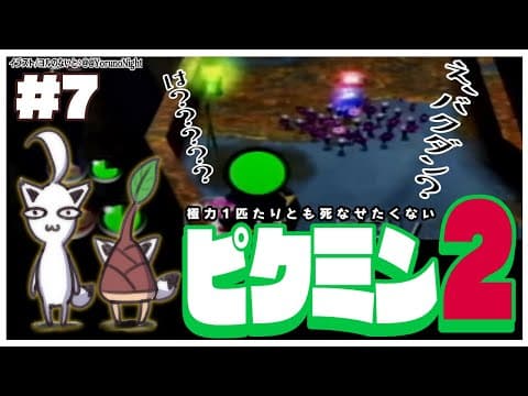 【GC】極力１匹たりとも死なせたくないピクミン２：＃７【ホロライブ/白上フブキ】