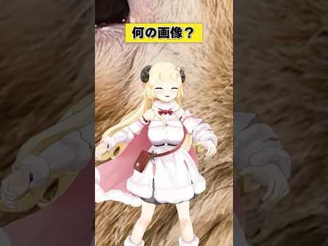 この動物は見覚えがあるぞ！！【 #今日のわため 】 #shorts #hololive #vtuber