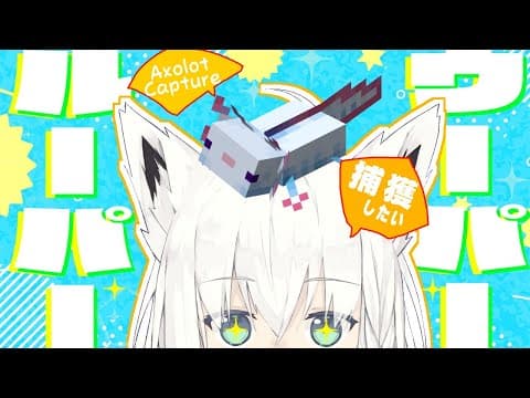 【Minecraft】ウーパールーパーおりゅ？【ホロライブ/白上フブキ】