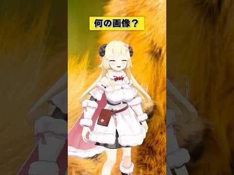 これはよく見る毛並みだね！！【 #今日のわため 】 #shorts #hololive #vtuber