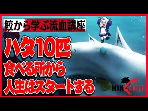 フォックスシャーク　第２講座「ハタを10匹食べる以下略」【ホロライブ/白上フブキ】