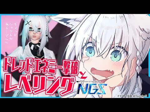 【NGS】ドレッドエネミーとかレベリングとか！【ホロライブ/白上フブキ】