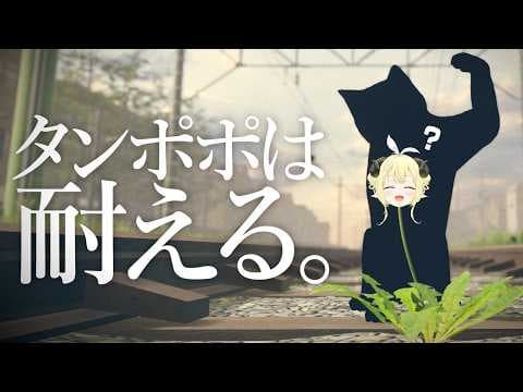 【 タンポポは耐える。 】リスポーン!!したらタンポポになっていた件【角巻わため/ホロライブ４期生】