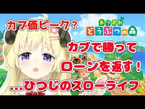 【あつまれどうぶつの森】カブ価ピーク？！教えてカブ先生！！！【角巻わため/ホロライブ４期生】