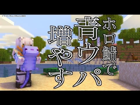 【Minecraft】Blue Axolotl:ホロ鯖の青うぱを増やす【ホロライブ/白上フブキ】