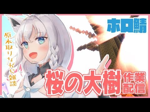 Minecraft：ホロ鯖に桜の大樹をのんびり作る作業。【ホロライブ/白上フブキ】