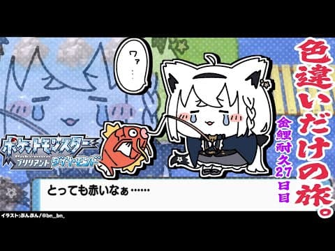 【ポケモンBDSP】色違い旅パ/金コイ耐久２７日目【#白上フブキ金コイ耐久27】