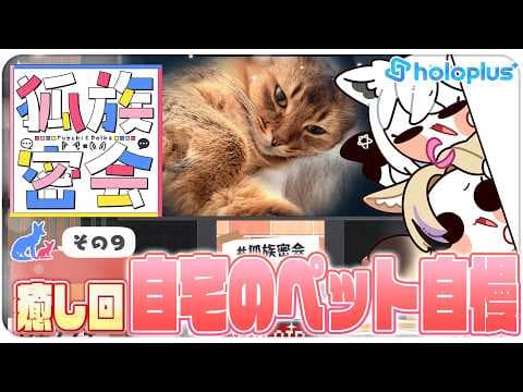 【その９】チルラジオ配信 #狐族密会　「癒し回！自宅のペット自慢」【ホロライブ/白上フブキ/尾丸ポルカ】